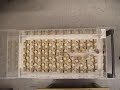 Mousetrap reactor (top view slow motion)