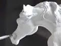 Patina of Bronze Horse \"Ocean Antics\" Patina of Bronze Horse \"Ocean Antics\"