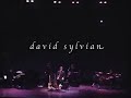 David Sylvian - Snow Borne Sorrow [Live 20.09.07]