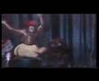 Orangutang 1 - Don't Miss This !!! Funniest video ever !!!