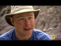 What is a Dino Mummy?