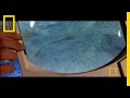 What is a Dino Mummy?