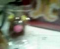 Rudolph\ Rudolph\