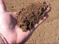 Vegetable Garden - Fertilizing - Tilling - Planting Vegetable Garden - Fertilizing - Tilling - Planting
