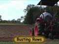 Vegetable Garden - Fertilizing - Tilling - Planting