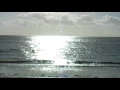 Ned Taylor Exmouth