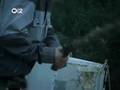 Libertines Music When The Lights Go Out Official Music Video and Lyrics