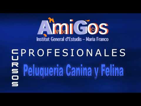 CURSOS PELUQUERIA CANINA, CURSOS ADIESTRADOR CANINO, CURSOS AUX VET  –  EN TERRASSA AMI-GOS INSTITUT