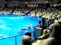 Shinagawa Prince Hotel -- Dolphines