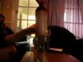 videos de Bongo