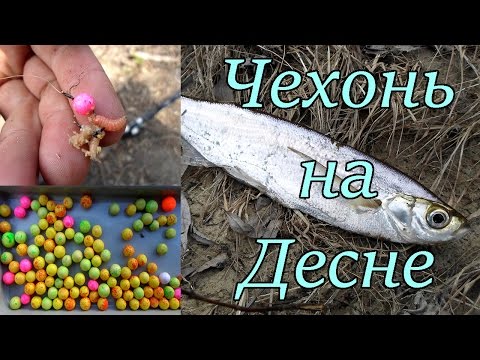 рыбалка на десне на фидер рыбалка на десне на фидер