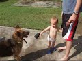 sam with dogs at first sam with dogs at first