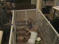 Estin and Bruno playing together