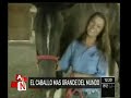 El caballo más grande del mundo