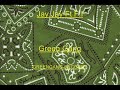 Jay Jay ft. F.I - Green Gang