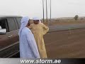 لقطة طريفة