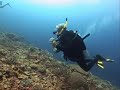 Vanuatu Scuba Diving