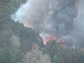 Forest fire in kyoto