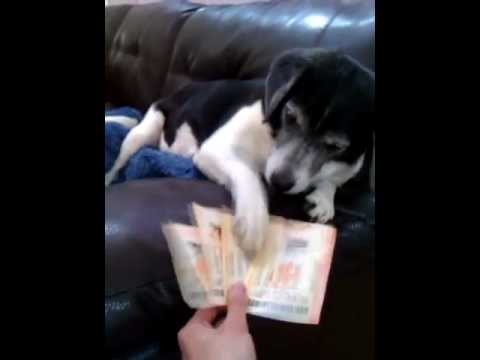 mega millions numbers