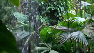 Relaxing Sounds Escape - Watching The Rain
