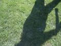Zawody powiatowe OSP Pszczyna 2009 cz3