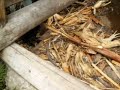 videos-ecuador.html