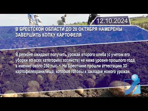 Новостная лента Телеканала Интекс 12.10.24.