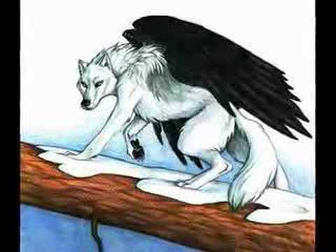 animal anime/art !