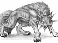 animal anime/art !