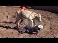 Jaripeos y rodeos en Colonia Purísima del Maguey (Fresnillo, Zacatecas)