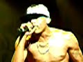 Chris Brown Live @ Summer Splash 07