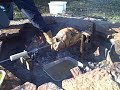 Thanksgiving Turkey on the Firepit! Thanksgiving Turkey on the Firepit!