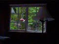 Woodpecker with a sweet-tooth