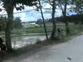videos de josemarimendoza