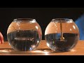Mineral oil is used for optical applications and works good as a filler for DIY optical fiber. A gallon cost about $20 and can be purchased from feed stores. This inexpensive option allows for larger diameter PVC tube lights.