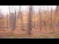 Backpacking in the Porcupine Mountains