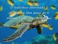 mensagem motivacional c/ Anderson custodio http://www.andersoncustodio.com.br