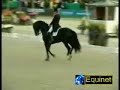 Dressage-W Channon & Lorenzo CDI Rotterdam 07 Kur