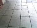 EL HOMBRE BOCINA 5