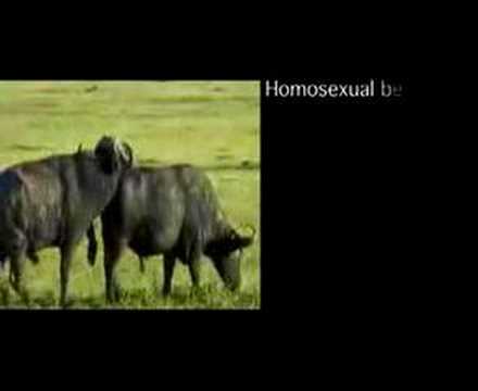 Natural gay rights
