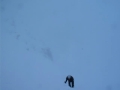 Ice Climbing Fury