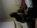 videos de MOV00119.3GP