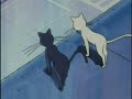 Sailor Moon Clasica Ep. 43 1/2 Español Latino Sailor Moon Clasica Ep. 43 1/2 Español Latino