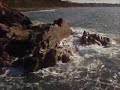 Click here to watch this video The Crashing of the Waves by The (Original) Coyote Medicine Road Show