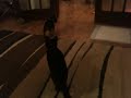 Dotty playing with Cocoa.