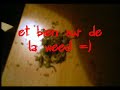Comment rouler un bédo
