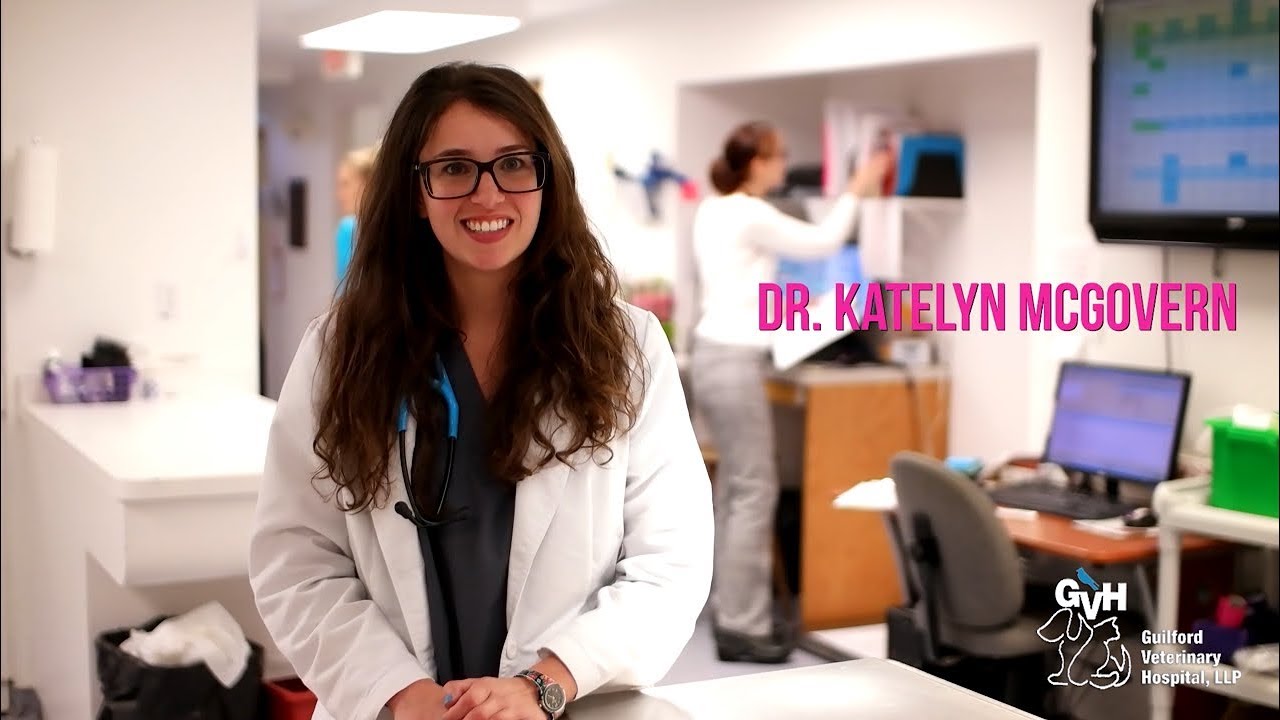 Guilford Veterinary Hospital