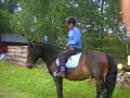 sanna  rider ivar