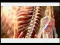 Holistic Wellness for the Hip Hop Generation. pt2