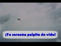 Para el Juan Salvador Gaviota que todos somos Para el Juan Salvador Gaviota que todos somos